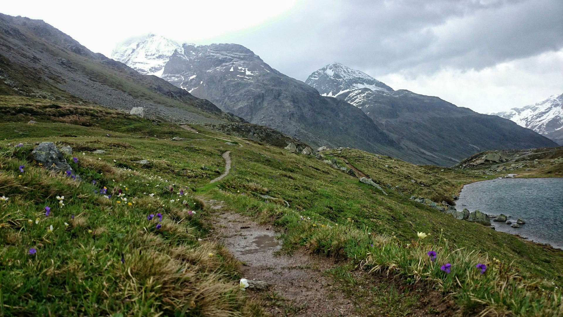 Chemin de randonée dans les Alpes