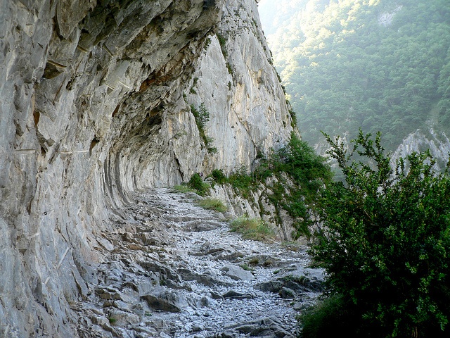 randonnees-flanc-montagne-pyrenees